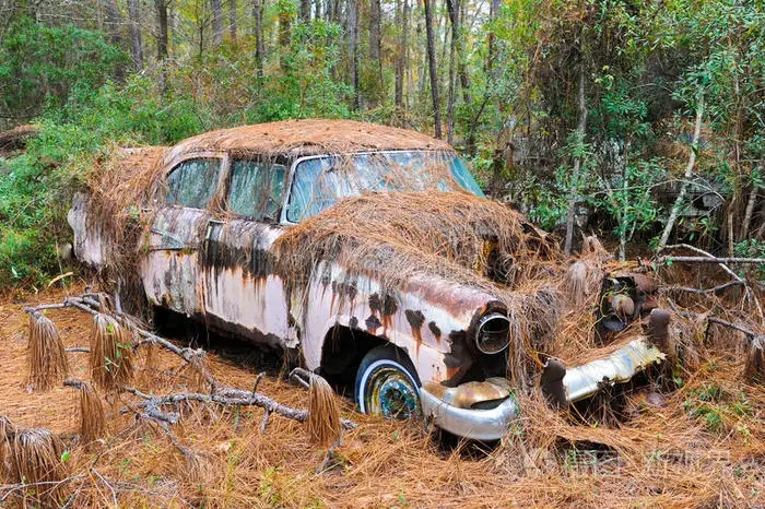 1677204828546058.jpg src=http___img95.699pic.com_xsj_1l_lc_9h.jpg!_fw_700_watermark_url_L3hzai93YXRlcl9kZXRhaWwyLnBuZw_align_southeast&refer=http___img95.699pic.webp.jpg